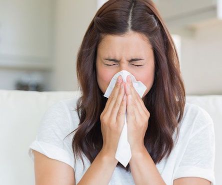 Свежие новости: 