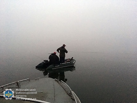 Свежие новости: В акваторию Южного Буга заплыл дельфин – рыбоохранный патруль его пока не нашел