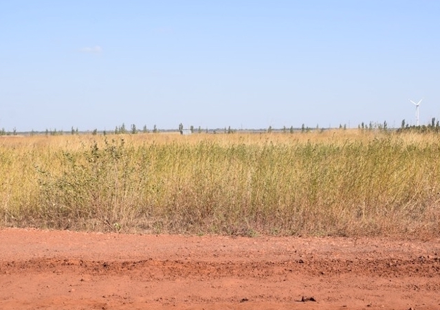 Свежие новости: Рекультивация шламового поля НГЗ остановлена из-за иска «Стоп шлама»