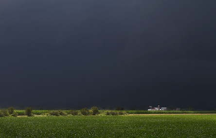 Свежие новости: Погода на пятницу в Николаевской области: затяжные дожди