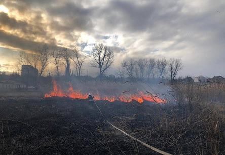Свежие новости: ФОТО: На Николаевщине за сегодня произошло 3 пожара камыша: вероятная причина - поджог