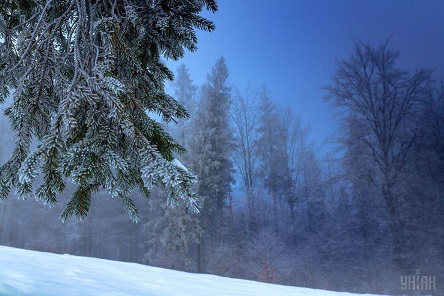 Свежие новости: Синоптик рассказала, когда в Украину прийдет потепление после лютых морозов и снегопадов