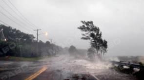 Свежие новости: В Сочи мощный ураган