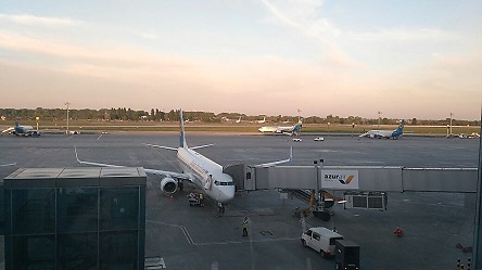 Свежие новости: Силовики пресекли деятельность пары из Николаева, которая вербовала девушек для сексуальных услуг за границей