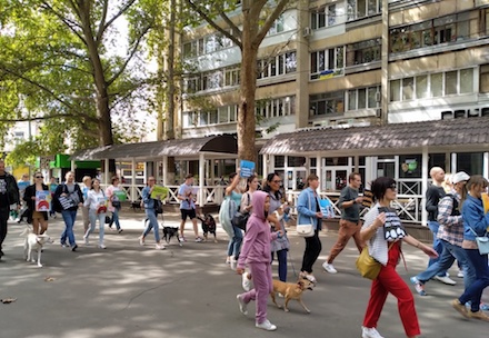 Свежие новости: В Николаеве состоялся марш за права животных