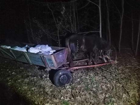 Свежие новости: Украинцы на телегах пытались вывезти в Беларусь 800 кг сала