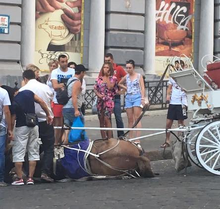Свежие новости: В Одессе запряжённая в карету лошадь упала в обморок от жары