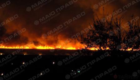 Свежие новости: Под Николаевом на реке Южный Буг неизвестные подожгли плавни