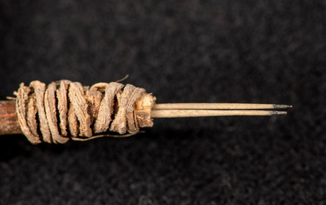 Свежие новости: Археологи нашли самую старую машинку для тату