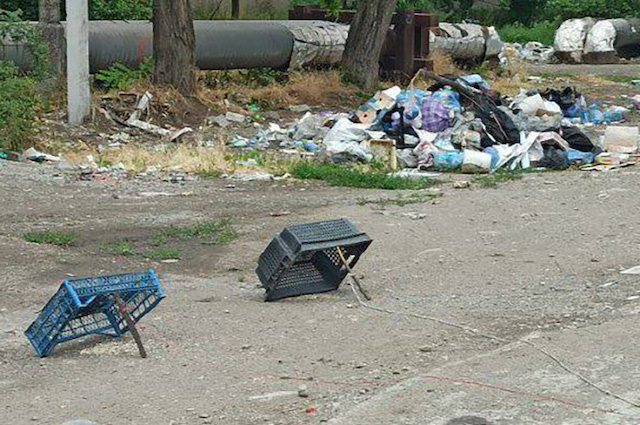 Свежие новости: Як під час Голодомору: маріупольці змушені полювати на голубів через нестачу харчів