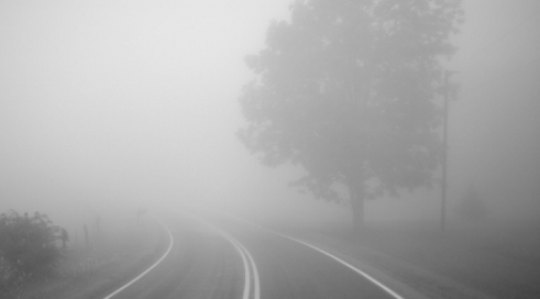 Свежие новости: Погода в Николаеве на завтра