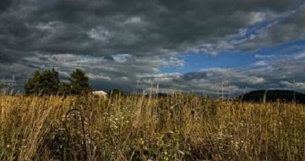 Свежие новости: Утром туман, днем до +8°: погода в Николаеве на завтра