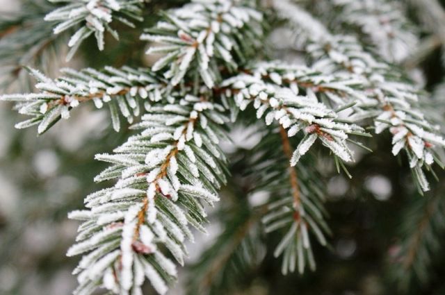 Свежие новости: В Украину идет резкое похолодание