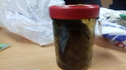 Свежие новости: Пограничники задержали жителя аннексированного Крыма, который пытался провезти наркотики в материковую Украину