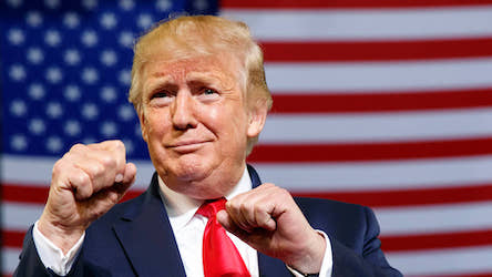 Свежие новости: Трамп планирует создать собственную сосцеть