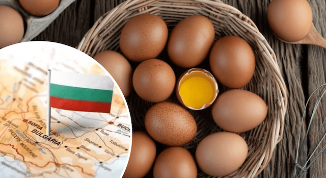 Свежие новости: Болгарія попросить Євросоюз заборонити імпорт яєць із України