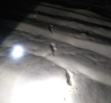 Фото новости: На Одесчине пограничники с помощью следов на снегу нашли и задержали нарушителя границы Свежие новости: На Одесчине пограничники с помощью следов на снегу нашли и задержали нарушителя границы