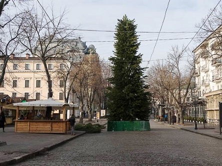 Свежие новости: В Одессе для елки на Дерибасовской срубили 400 сосен