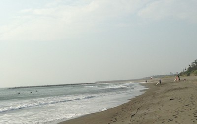 Свежие новости: На морях и озерах Украины этим летом атаковали опасные 