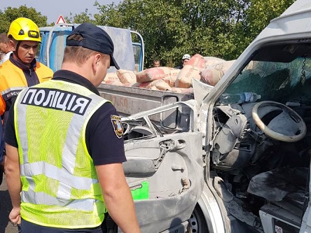 Свежие новости: Миколаївська область: рятувальники надали допомогу у ліквідації наслідків дорожньо-транспортної пригоди