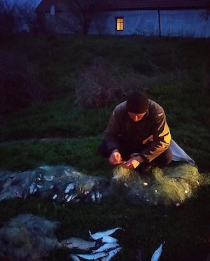 Свежие новости: Очаковский суд приговорили к ₴43 тысячам штрафа за вылов рыбы