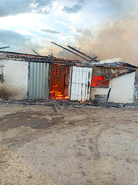 Свежие новости: В Одесской области сгорел свинарник: погибло больше 50 животных