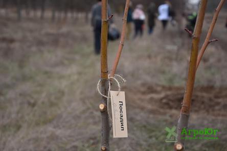 Свежие новости: В рамках акції «Мільйон дерев за 24 години» в парку «Дружба» висадили 400 лип