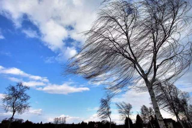 Свежие новости: У Миколаєві та області очікується погіршення погоди