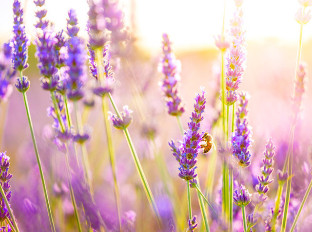 Свежие новости: Прогноз погоды в Украине на воскресенье