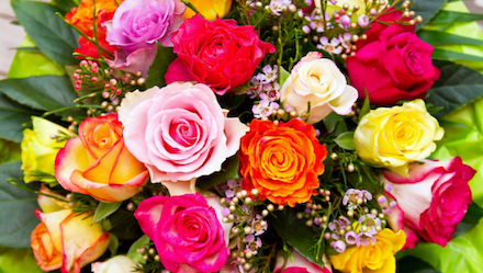 Свежие новости: К 1 сентября взлетели цены на цветы