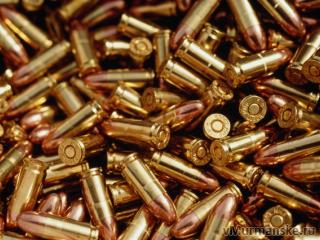 Свежие новости: Житель Еланца хранил дома патроны