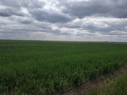 Свежие новости: ЕС подчеркивает необходимость полной имплементации земельной реформы