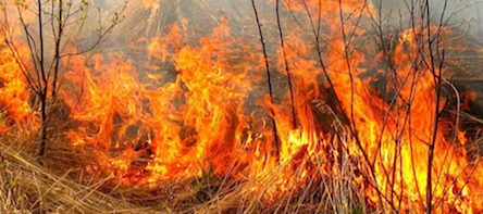 Свежие новости: ДО УВАГИ ВОЗНЕСЕНЦІВ! ВИСОКА ПОЖЕЖНА НЕБЕЗПЕКА