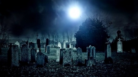 Свежие новости: Memento mori: мэр Сенкевич призвал не бояться кладбища