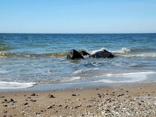 Свежие новости: Росіяни обстріляли з артилерії акваторію Миколаївщини