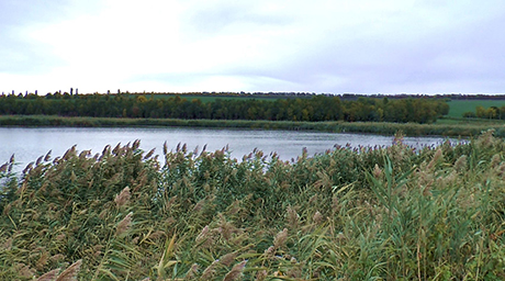 Свежие новости: На Николаевщине спасатели нашли в ставке пловца без сознания