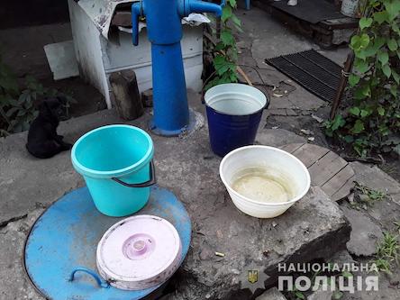 Свежие новости: В Первомайске 40-летний мужчина утопил поочередно в ведре свою кошку и двух ее маленьких котят