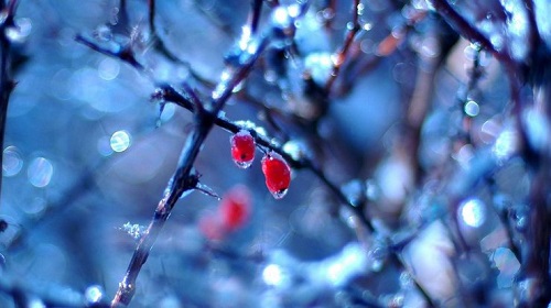 Свежие новости: Украину накроет дождь и снег