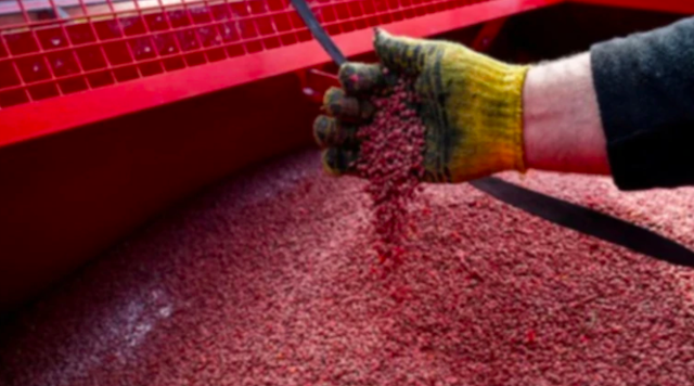 Свежие новости: Зеленський підписав закон про запуск Виплатної агенції для фермерів