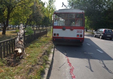 Свежие новости: В Николаева троллейбус сбил пешехода на переходе - есть пострадавший с тяжелыми травмами