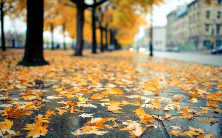 Свежие новости: 