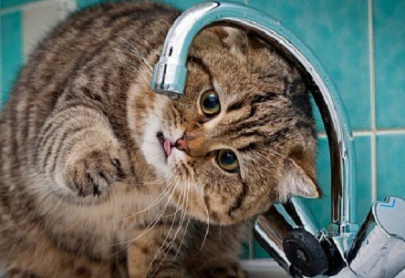 Свежие новости: 23 лютого через аварійні роботи можливо припинення водопостачання