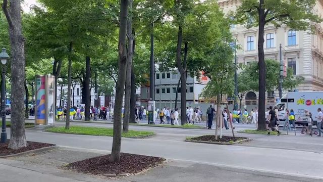 Свежие новости: Появилось видео марша в поддержку Украины по улицам австрийской столицы