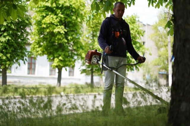 Свежие новости: В Николаеве несмотря на войну начали облагораживать парки