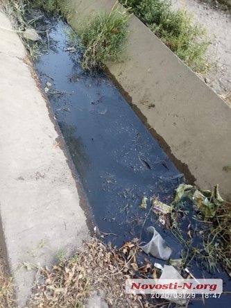 Свежие новости: ВИДЕО: В Николаеве канализационные стоки текут в реку на пляже «Чайка»