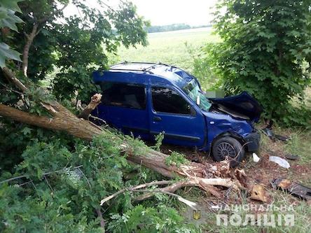 Свежие новости: ДТП на Николаевщине: водитель погиб, а пассажирка госпитализирована
