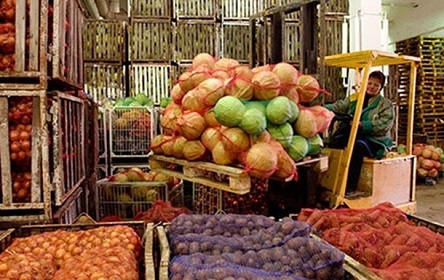 Свежие новости: Украина в тройке лидеров агроэкспорта в ЕС