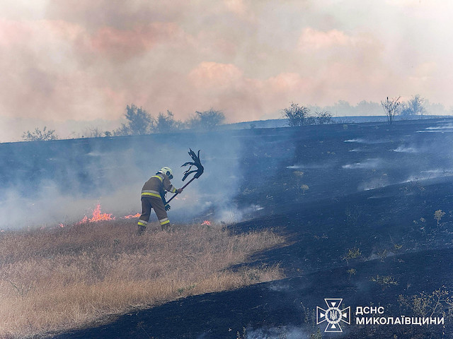 Фото новости: Пожежа у Новопетрівському урочищі: вогонь охопив сухостій і лісові насадження Свежие новости: Пожежа у Новопетрівському урочищі: вогонь охопив сухостій і лісові насадження