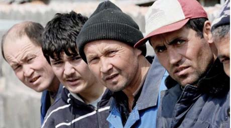 Свежие новости: На Николаевщине более 20 задержанных нелегалов оказались ворами