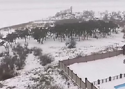 Свежие новости: В Николаеве суд вернул в госсобственность участок леса, где стоит дом главы экоинспекции